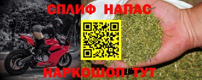 ГАЛЛЮЦИНОГЕННЫЕ ГРИБЫ Бийск