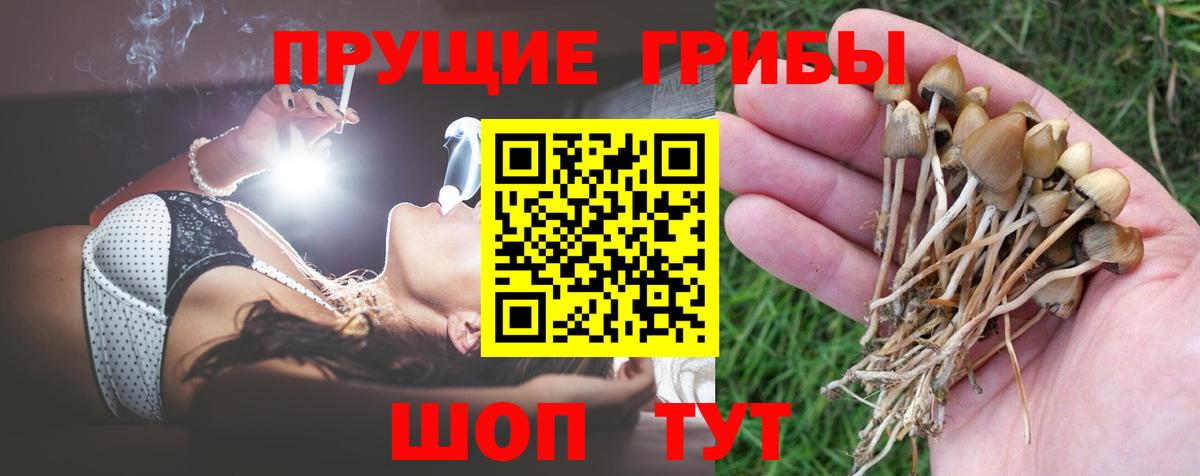 Балашиха  закладка  Вход с VPN  Галлюциногенные грибы мухоморы 